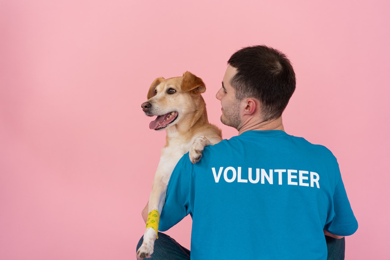 Volunteer melakukan sesuatu tanpa paksaan dan imbalan | pexels.com (Mikhail Nilov)